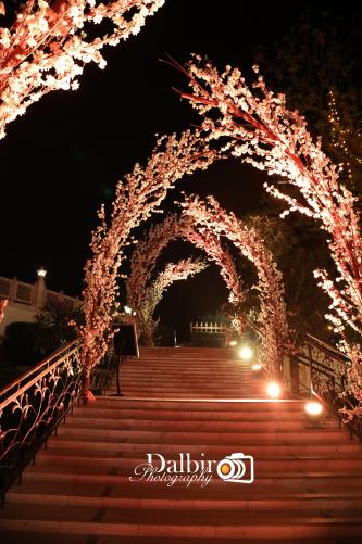 Photos by Dalbir Photography